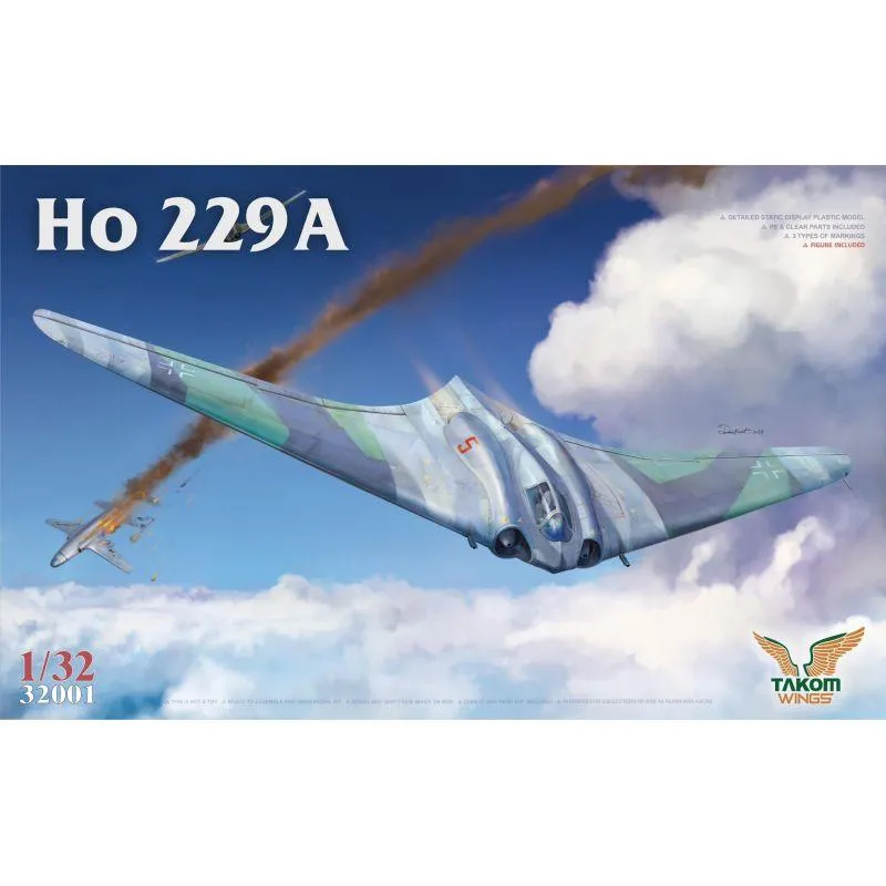 Ho 229 A
