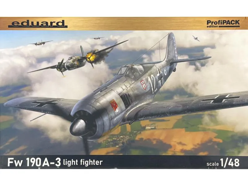 Fw 190A-3 Light Fighter