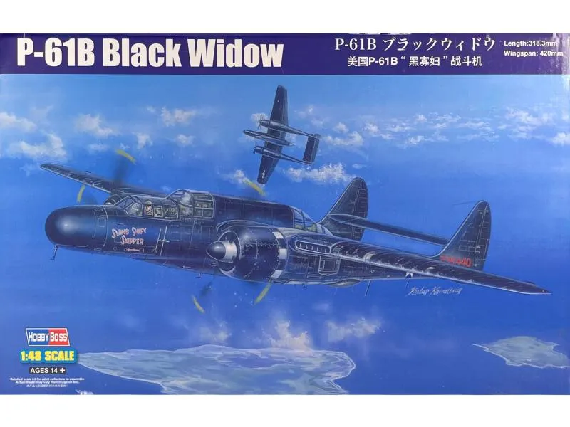 US P-61 Black Widow